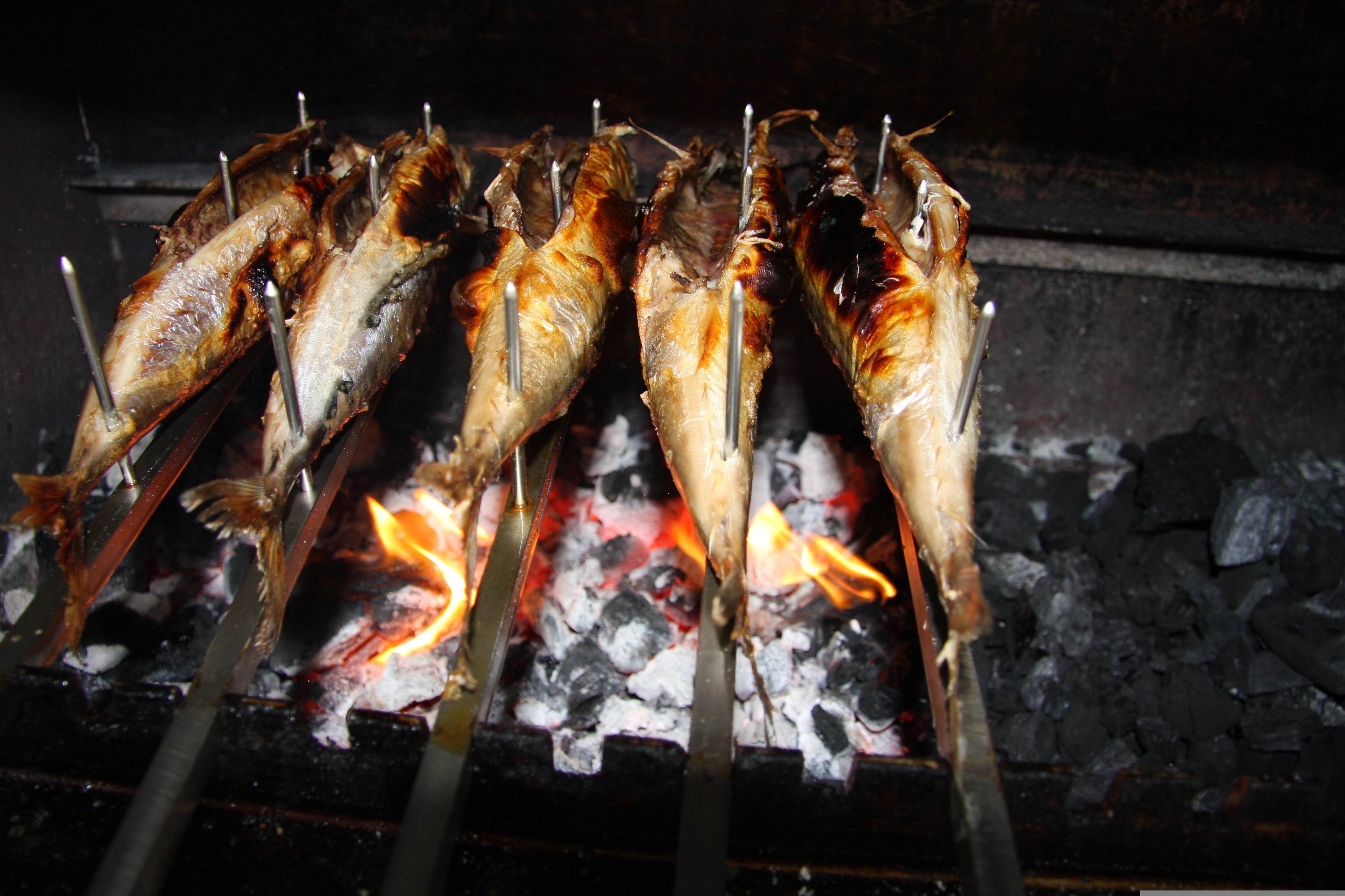 Poissons fumes